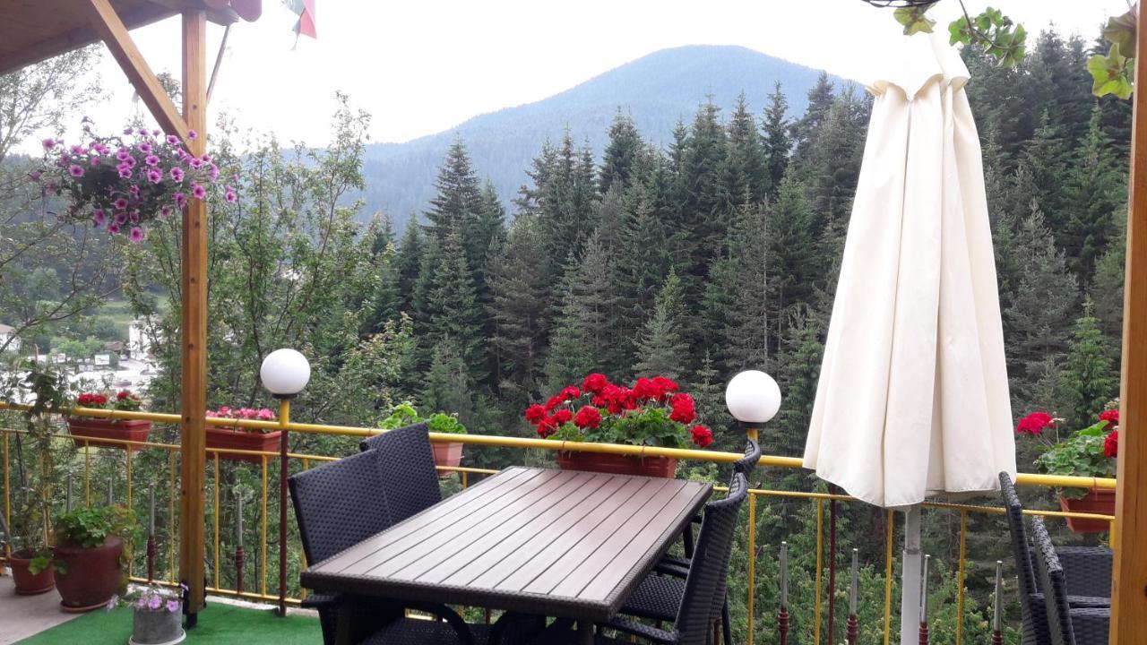 Guest House Stoletnika 야고디나 외부 사진