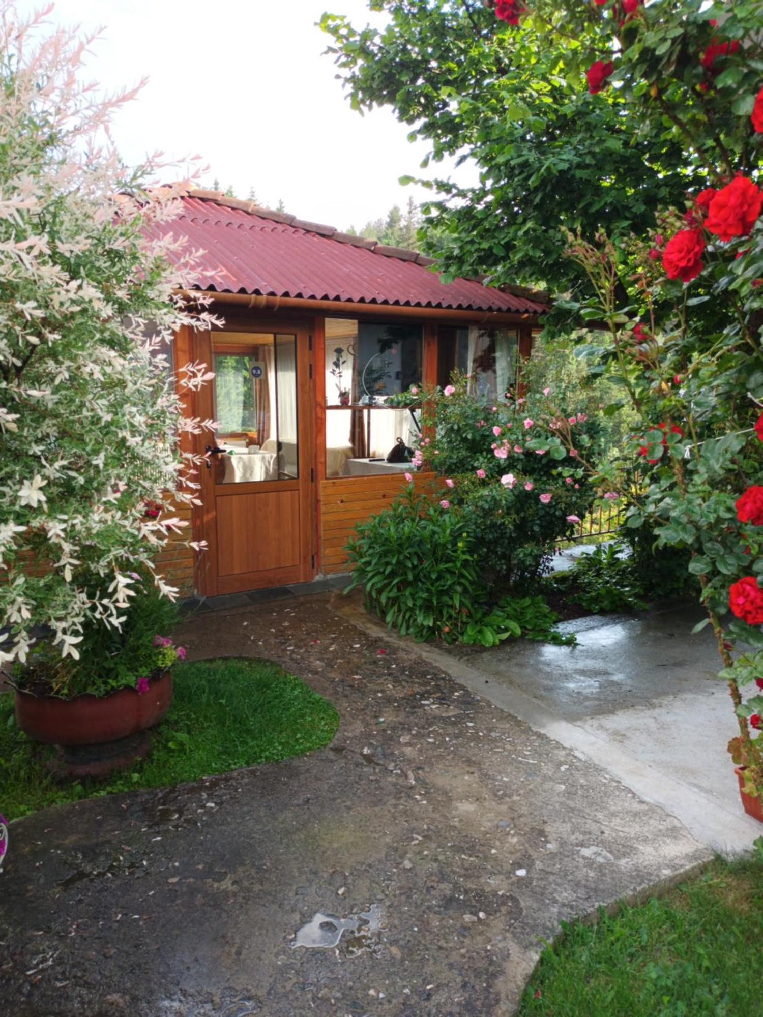 Guest House Stoletnika 야고디나 외부 사진