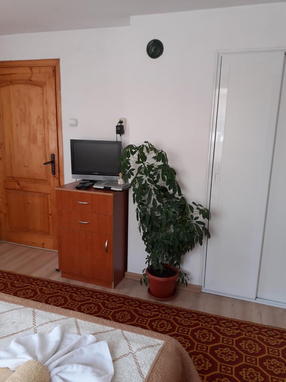 Guest House Stoletnika 야고디나 객실 사진